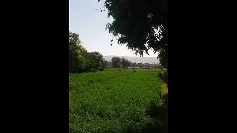قراءة هادئة "سورة الشمس" ( والشمس وضحاها...........)# you tube