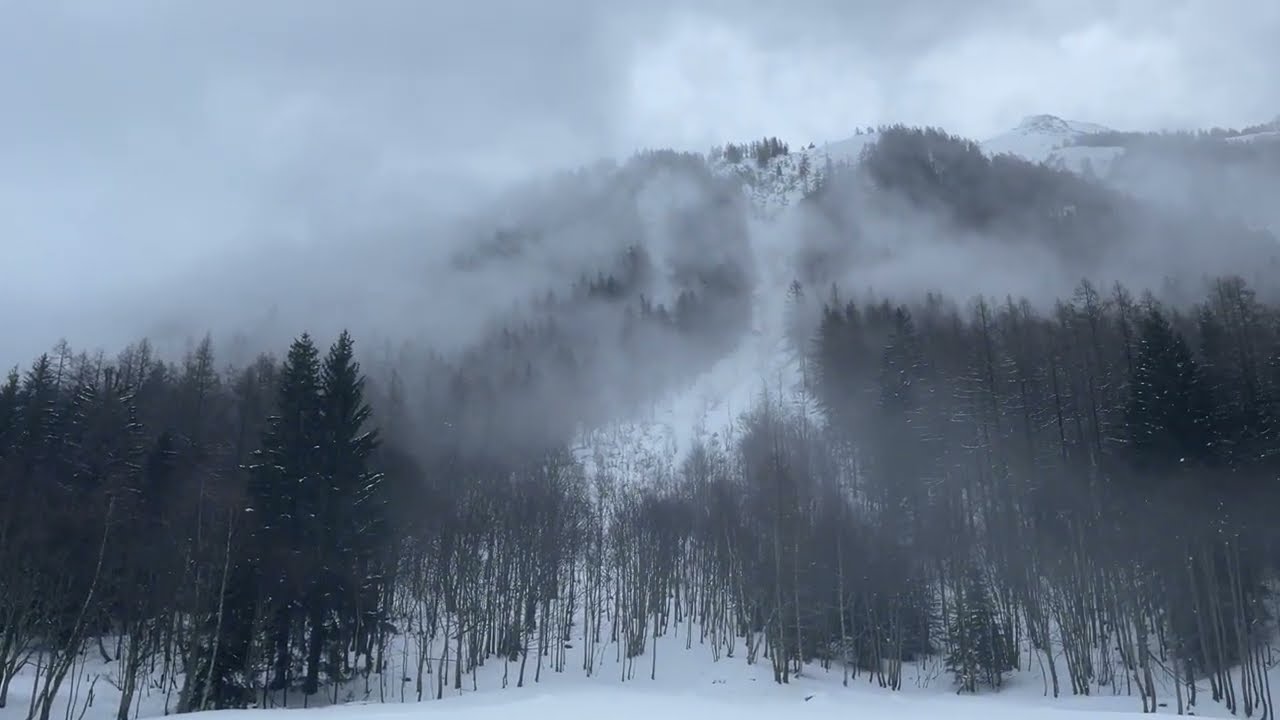 Watch Mertree - Winter Winds - Daniela Mars - Contrabass flutes and bass flute - HEARTWEAVING on YouTube Watch Mertree - Winter Winds - Daniela Mars - Contrabass flutes and bass flute - HEARTWEAVING on YouTube