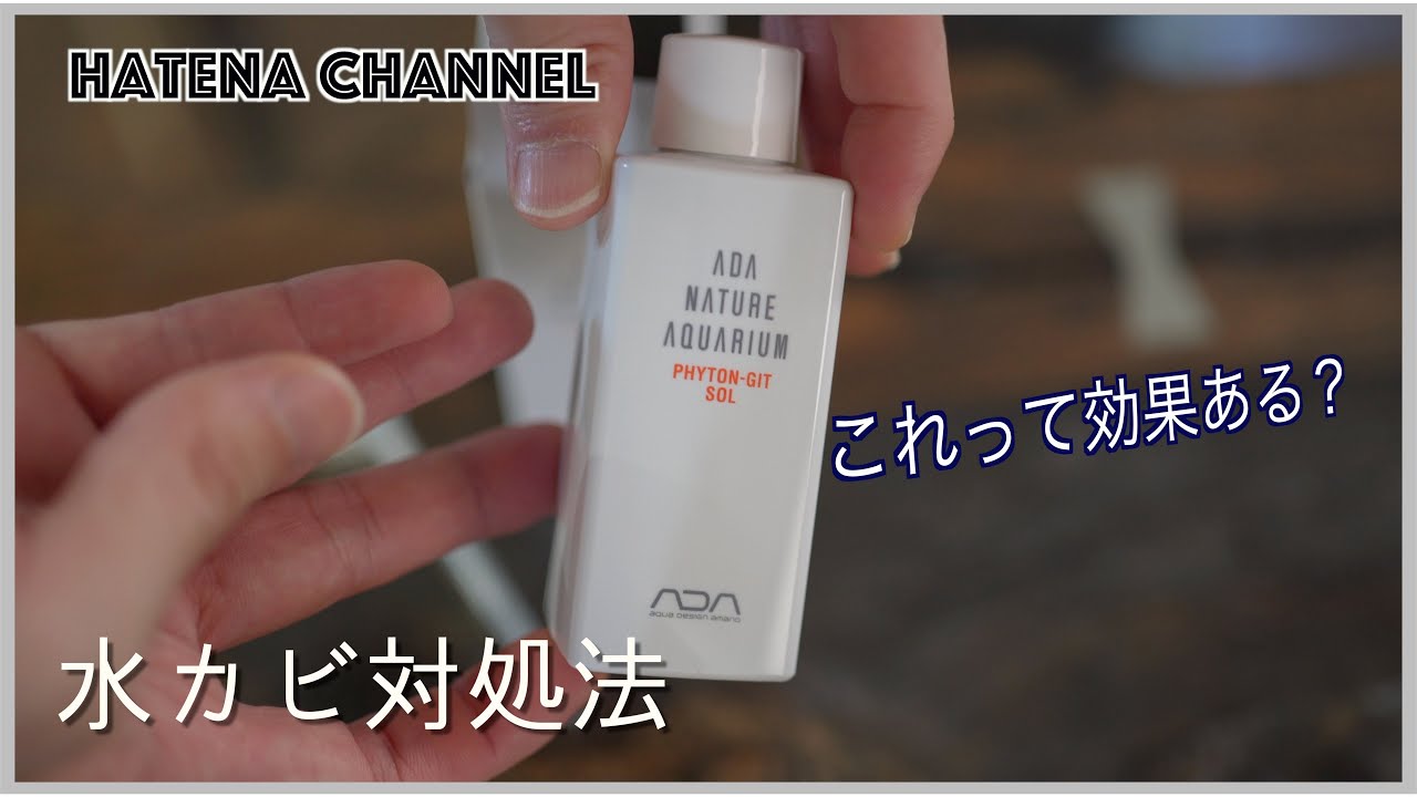 トラブル発生 アクアテラリウム水槽の水草腐る その原因はまたしてもあれか トラブル編 Youtube