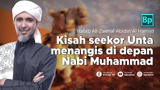 Kisah Unta Menangis Mengadu Kepada Nabi Muhammad | Habib Ali Zaenal Abidin Al Hamid