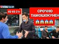 АЭРОПОРТ ДОМОДЕДОВО ЧИЯНОЙ АБДУЛЛО ХАСТ ЁКИ НЕ??  СРОЧНО СМОТРЕТЬ