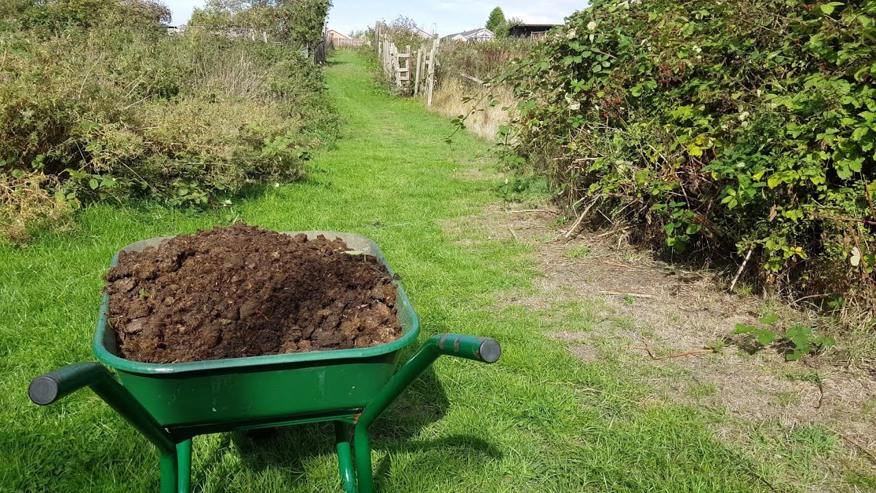 Allotment Days 71 Manure...Operation Cover Up and Composting YouTube