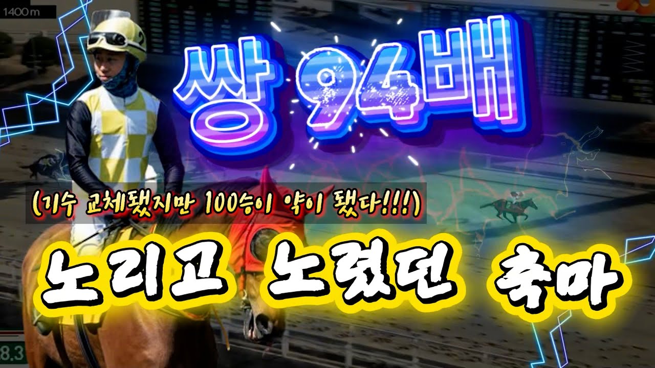 고배당 마필이 궁금해???🎯경마🟢 경마 고배당🟢 서울경마🟡부산경마🔵제주 경마