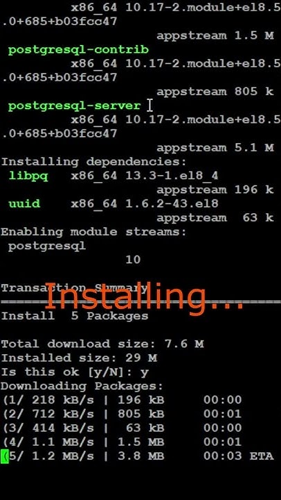 PostgreSQL Installation - YouTube