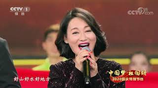 [2020国庆特别节目]歌曲《我的祖国》 演唱：任达华 惠英红 马龙 杜江 童瑶 欧阳娜娜 麦嘉欣| CCTV
