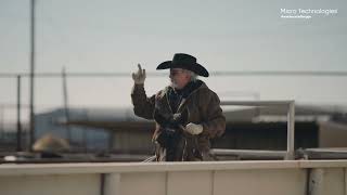 Circle 3 Feedyard