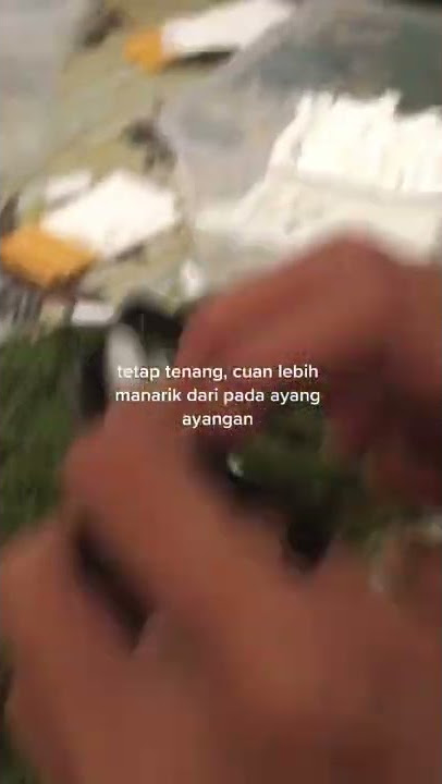 story wa cuan lebih menarik dari pada ayang