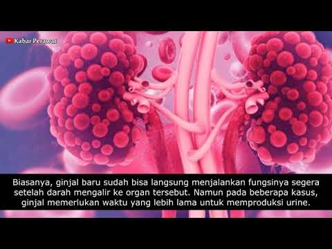 Video: Transplantasi Ginjal: Prosedur, Risiko, Dan Komplikasi