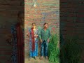 Billi Ne Photo🐈🐈🐈🐈‍⬛🐈‍⬛🐈‍⬛🐈‍⬛ Frame Tod Diya #shorts #comedy #trending #viral #shortvideo😧😦 🫢 🐈‍⬛🐈‍⬛
