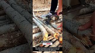 Cordless Power: Qimu Circular Saw Cuts Through Branches with Ease !! #innovation #tool #tools