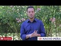 El Emotivo Adiós De Nacho Peña De El Chiringuito
