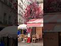 Paris France - back streets #foryou  #paris  #shortsfeed  #shortsvideo  #shorts  #shortsviral #love