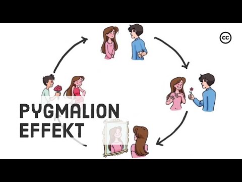 Der Pygmalion Effekt