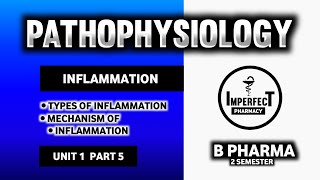 Inflammation | Mechanism Of Inflammation | Types Of Inflammation | Pathophysiology | B Pharma