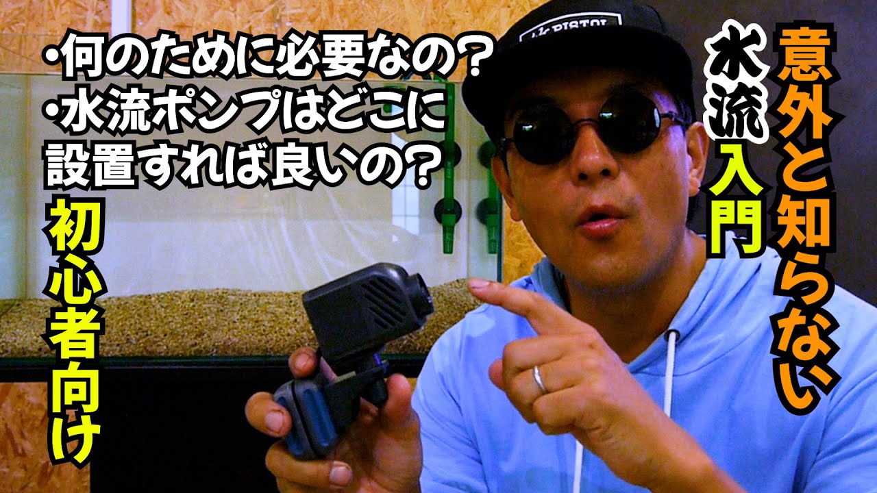 【海水】意外と知らない水流入門：水流は何故必要なの？水流ポンプは何処に設置すれば良いの？