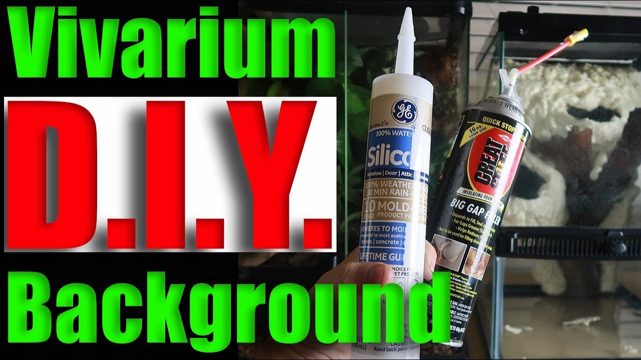 DIY Vivarium Background! - YouTube