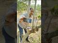 كيف تعرف أن الأفعى التي لدغتك سامة     نجومي