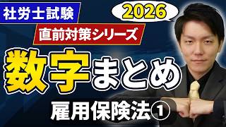 【社労士数字まとめ】雇用保険法①|頻出数字を総整理【直前対策】