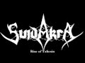 Suidakra - &quot;Rise of Taliesin&quot; two acoustic guitar cover from 2005