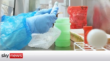 The first live Omicron sample arrives in UK for testing in Glasgow