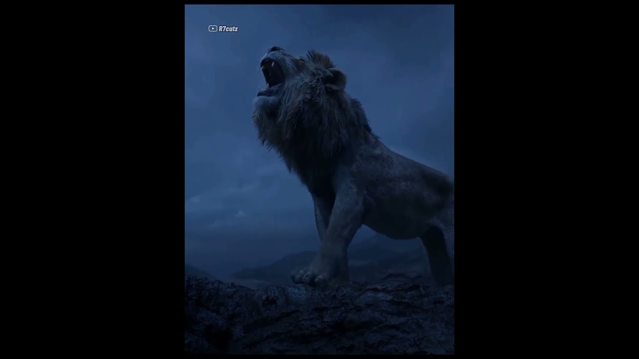 Simba revenge against scar  whatsapp status  Into your arms