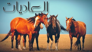 سورة العاديات للقارئ وديع اليمني | HD