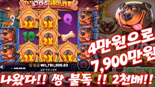 [슬롯나라] 프라그마틱 도그하우스(개집) 4만원으로 7900만원!? 쌍불독!! 영상~! (pragmatic slot : doghouse gave me big win!!!) screenshot 5