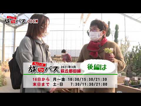 ３月のちょこっと旅Ｔｈｅバス後編は・・・？
