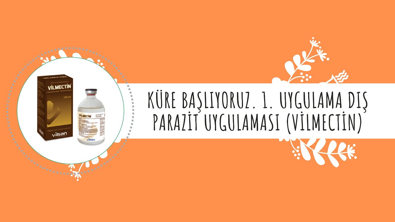 Küre başlıyoruz. 1. Uygulama  Dış parazit uygulaması (Vilmectin)