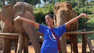 My Tip to Thailand 🇹🇭 - Day 25! Thailand Elephant Sactuary experience #sologirlvlog #vlog