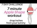 7 DAY CHALLENGE - 7 Minute Workout To Lose Belly Weight - START NOW - Home Workout
