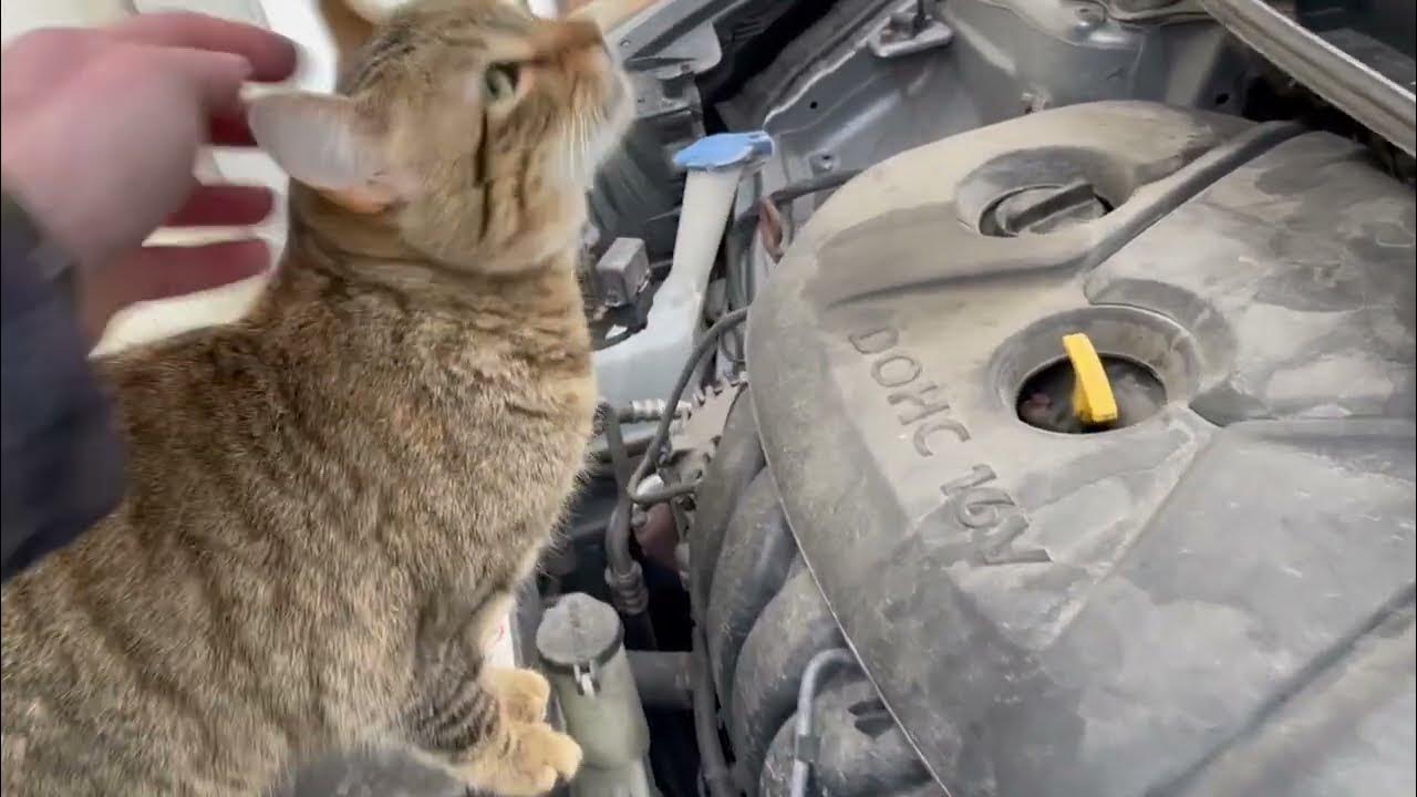 P0456 Check Engine Code, Fixed. - YouTube