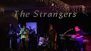 Video thumbnail of "Summer in the City-The Strangers"
