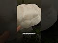 Спа-салон в Гуанчжоу, куда ходят и мужчины, и женщины.