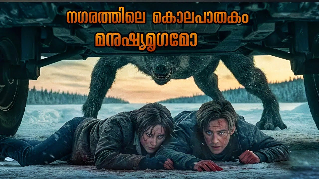 തുടർച്ചയായ സ്ത്രീകളുടെ മരണം  | Malayalam explanation @SRVOICEMOVIEEXPLAIN20sree22