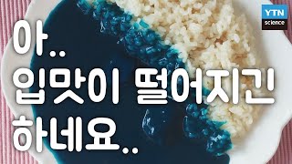 식욕을 저하시키려면 파란색 그릇을 사용해라? / YTN 사이언스