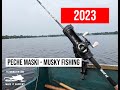 Voyage peche maski 2023  musky fishing trip  pascal delisle  seb ferron