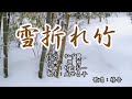 【新曲】「雪折れ竹」 成世昌平 歌唱:修吾(キーー3)