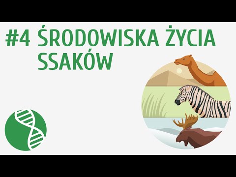 Wideo: Zwierzęta kopytne: klasyfikacja i cechy strukturalne