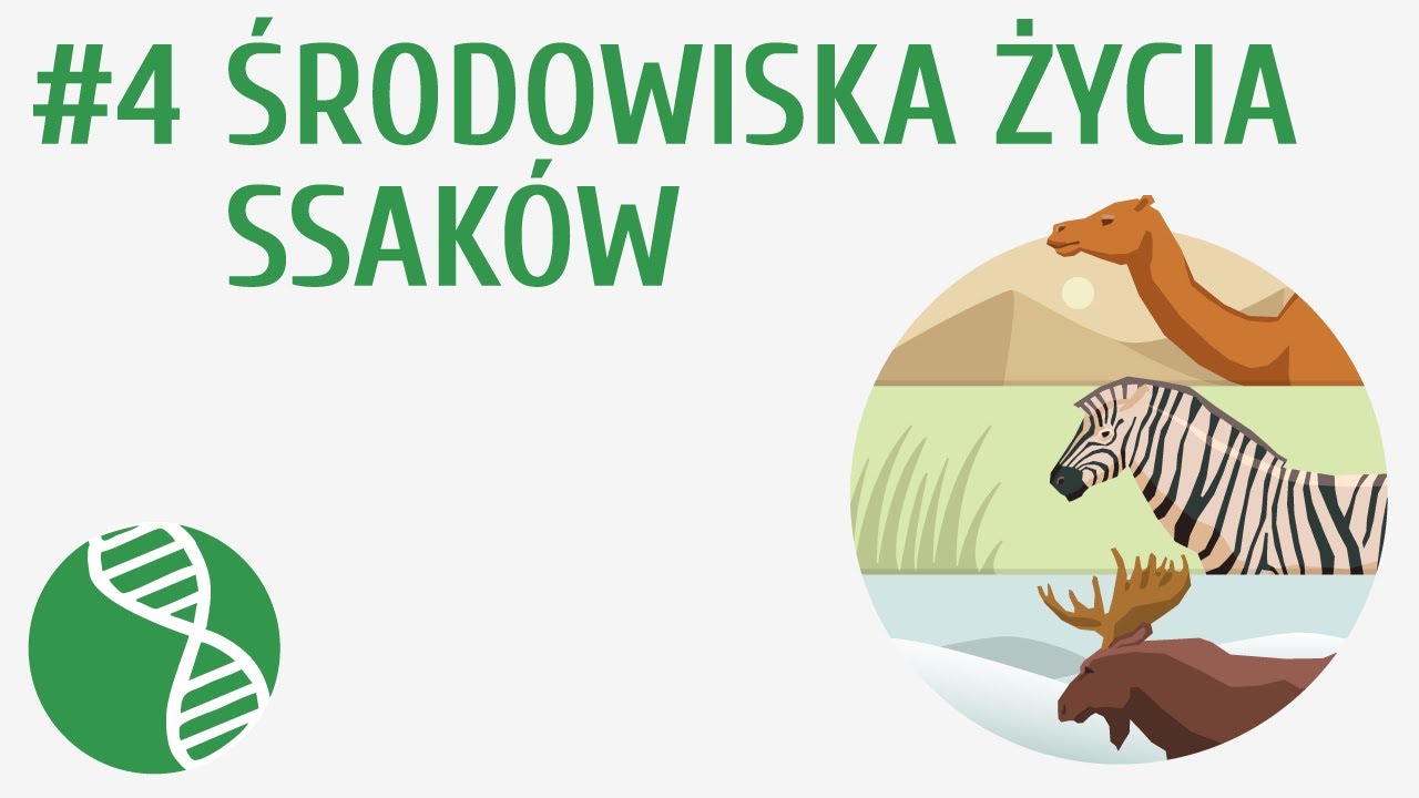 Środowiska życia ssaków #4 [ Ssaki ] - YouTube