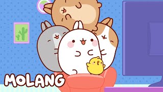 🩵✨ The Armchair | Molang | Cartoons for Kids
