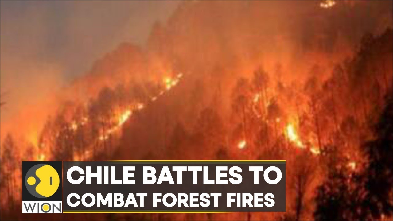 WION Climate Tracker: Chile battles to combat wildfires amid threat to residents |International News