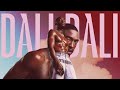 Daliwonga - DALI DALI [Full Album Mix]
