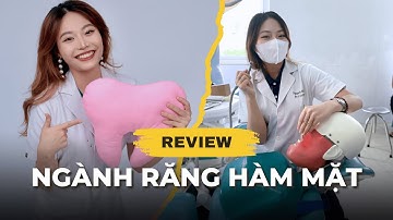 Học Răng Hàm Mặt có vất không? có vui không?| Series review các ngành học | Hấu học Y