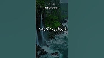 اللهم اجعل القرآن الكريم ربيع قلوبنا ونور صدورنا #اكسبلور #shortvideo #المصحف #الرحمن #duet #لايك