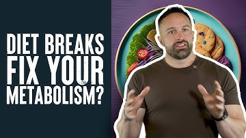 Can Diet Breaks Fix Your Metabolism? | Educational Video | Layne Norton PhD
