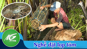 Ký ức miền quê | Nghề đặt lọp tôm | THKG