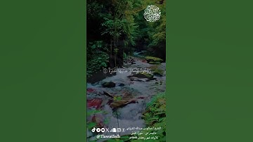 ماتيسر من سورة عبس (تلاوات شهر رمضان ١٤٤٥) | فضيلة القارئ الشيخ : صالح بن عبدالله القريشي