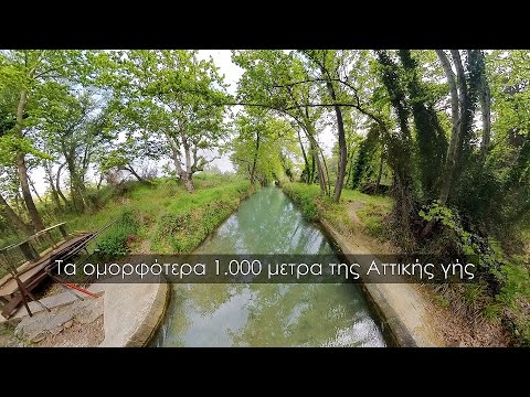 Ήπειρος, Πελοπόννησος ή μηπως..; Τα ομορφότερα 1.000 μέτρα της Αττικής γης μόλις αποκαλύφθηκαν.