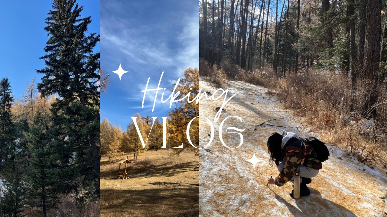 Богд ууланд алхлаа🏔️ | Hiking Bogd Mountain🚶🏻‍♀️|